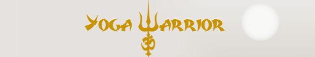 yoga_warrior_banner